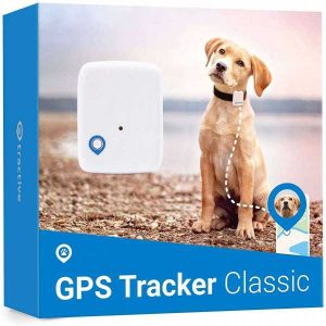Traceur GPS pour Animaux
