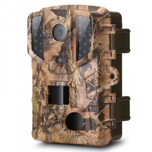 Caméra de Chasse Standard - Sans Réseau